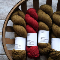 Morning Light by Andrea Aho