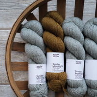 Morning Light by Andrea Aho