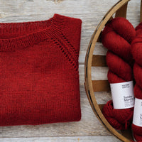 Blueberry Vodka Lemonade by Thea Colman