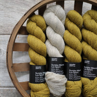 Missoni Accomplished by Melissa Clulow