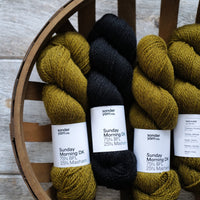 Morning Light by Andrea Aho