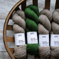 Morning Light by Andrea Aho