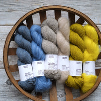 Apple Flower by Clara Eggers