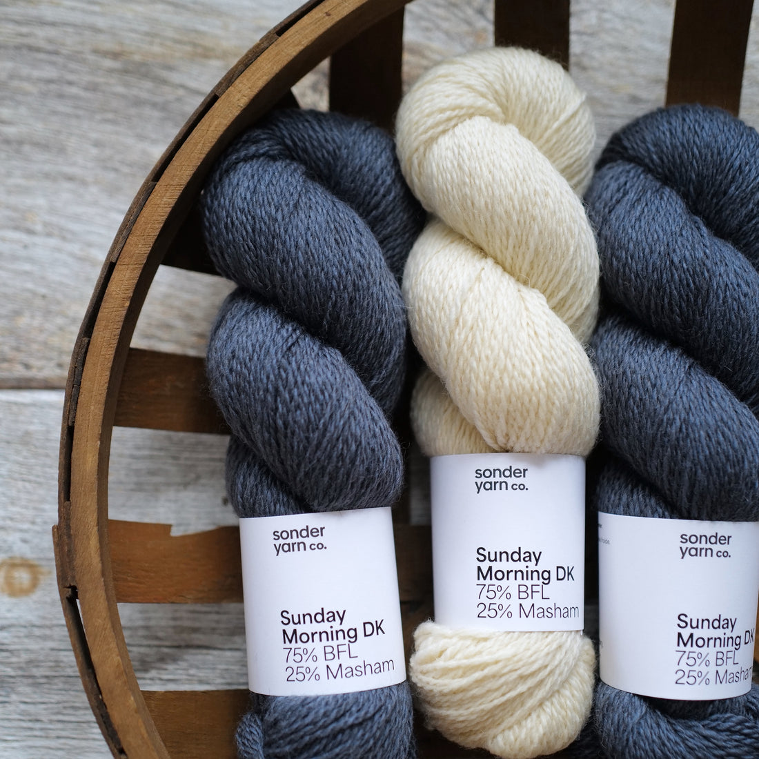 Morning Light by Andrea Aho