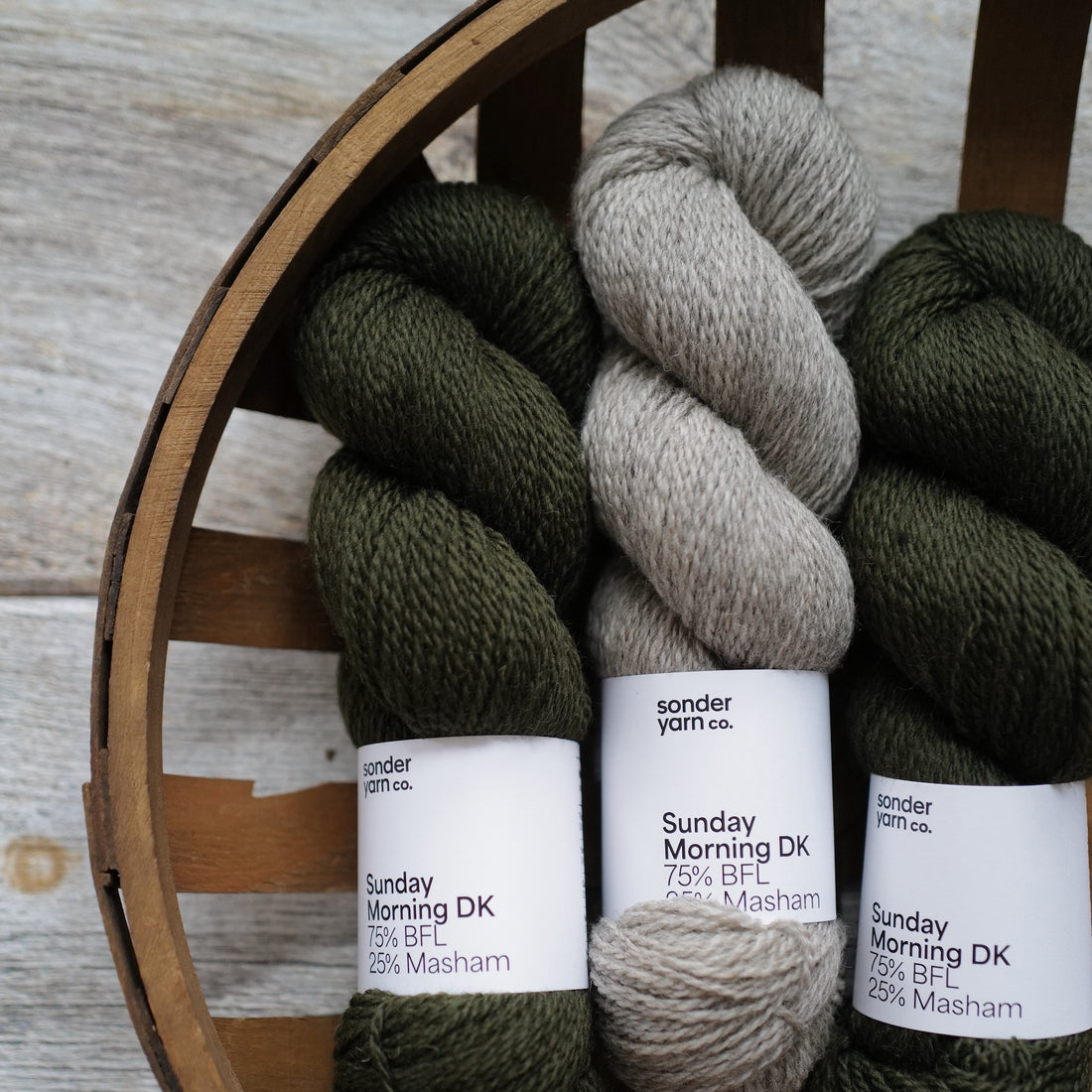 Morning Light by Andrea Aho